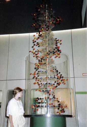 DNS-Modell im Deutschen Museum zu München